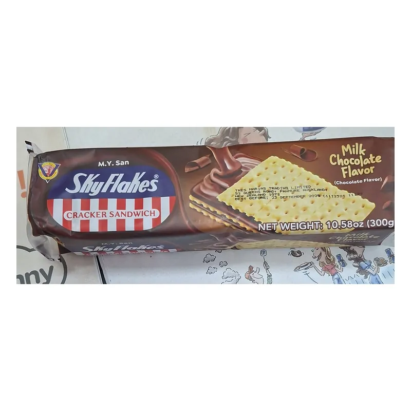 Skyflakes Chocolate (10x30g)